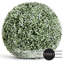 Topiaire à floraison artificielle-64582555-125844042