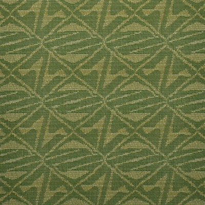 Jalene Kanani Exclusively Aala Fabric