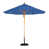 Olefin Pacific Blue