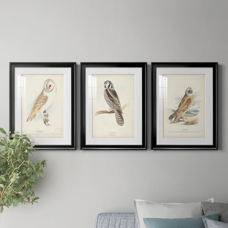 Reproduction encadrée de qualité supérieure de grange - prêt à accrocher, H 24,5 po x l 55,5 po x P 1 po, Cadre noir, Blanc
