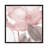 Blush Bloom II by Carol Robinson - Print on Canvas-1464480823-1464480822