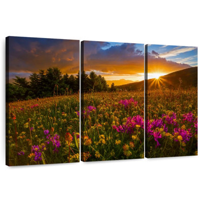 Alvord Flower Field Twilight