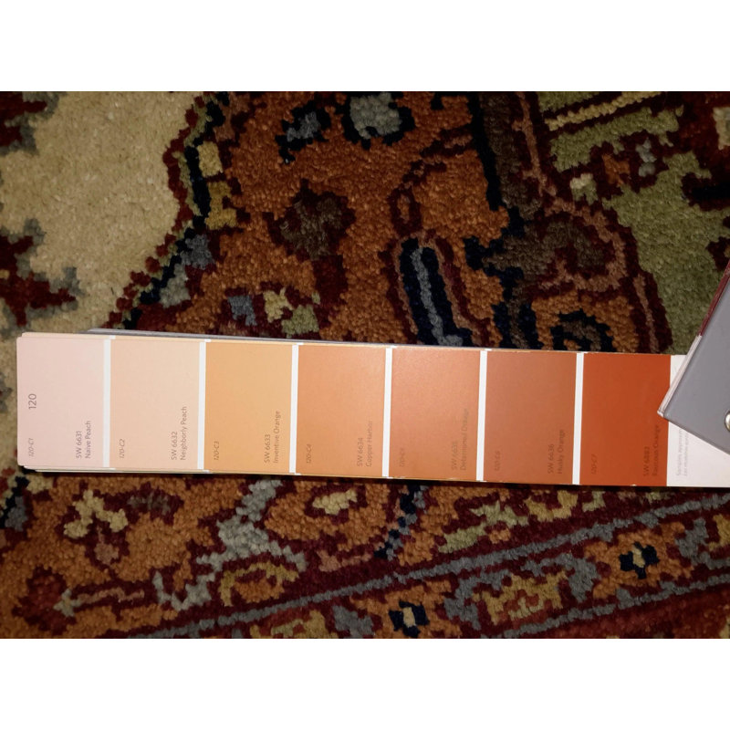 Oriental Area Rug in Orange