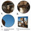 ResAU Beagle in Rocky - art mural chien Beagle-962267637-962268685