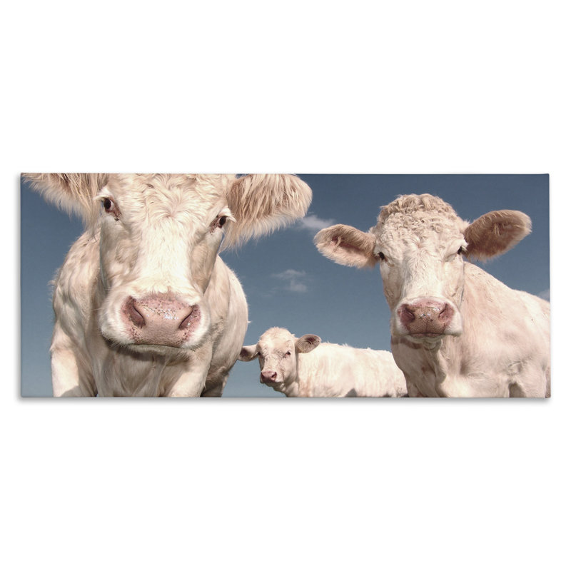 Trois vaches blanches sur toile par Marcus Prime, reproduction, H 13 po x l 30 po x P 1,5 po