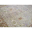 Wool Oriental Area Rug in Ivory/Rust