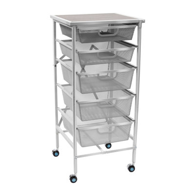5 Drawer Rolling Storage Chest