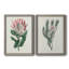 Protea N13 - Ensemble de 2 peintures sur toiles encadrées-2116893456-2116893549