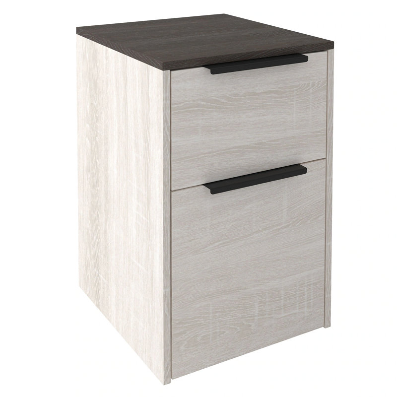 Eimilie 42cm Wide 2 -Drawer File Cabinet