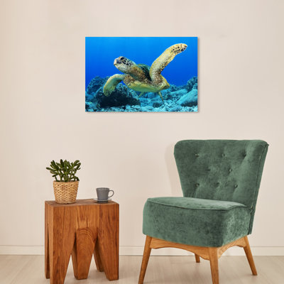 Ahian " Green Sea Turtle II " by David Fleetham