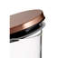 Rayhanna Glass Jar