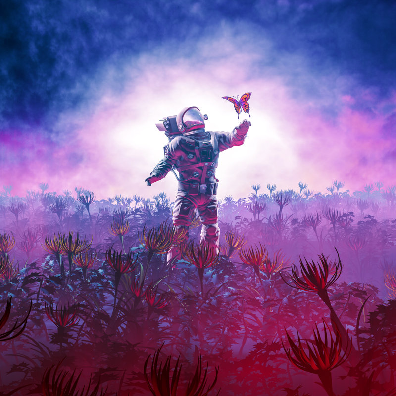 The Field Trip - Wrapped Canvas Print, 76cm H x 76cm W x 3.8cm D