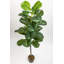 Tradala Trees 120cm Faux Fiddle Leaf Fig Tree in Pot