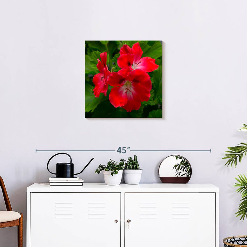 Fleurs d'hibiscus rouges Harnek