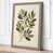 Taupe Border