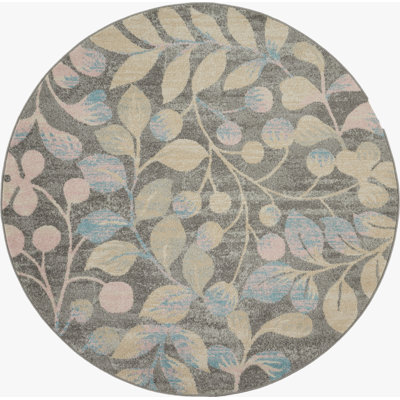 Indoor Rug