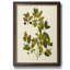 Toile encadrée de qualité supérieure Olive Greenery VII-1663104836
