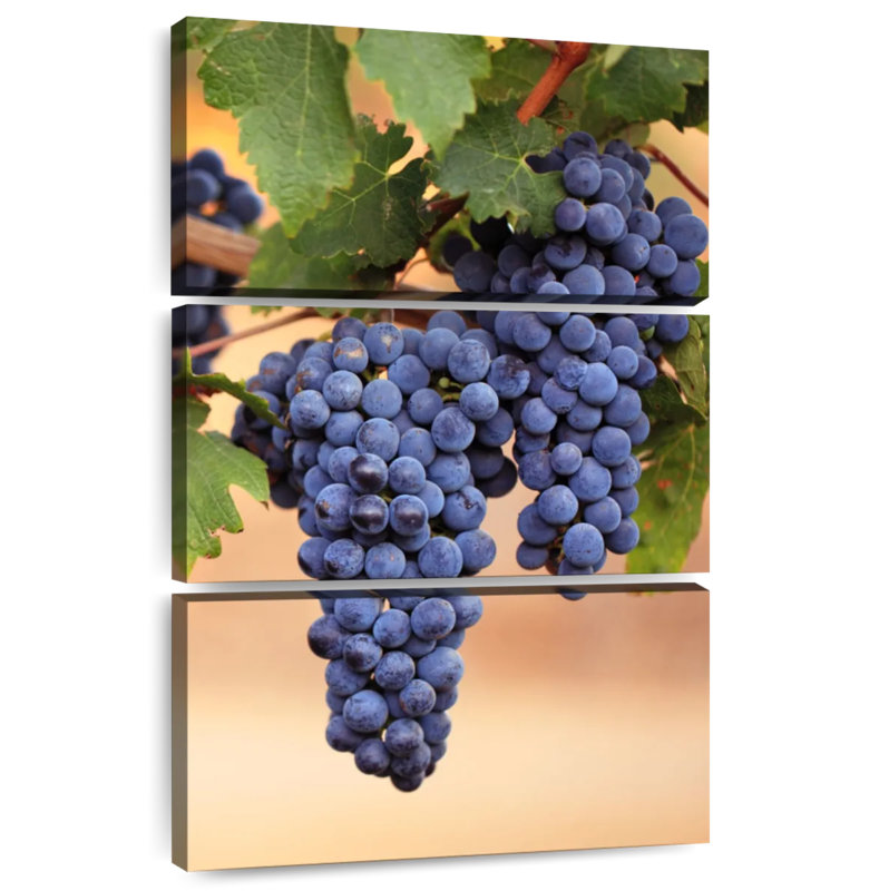 Yarlin Grapes On The Vine, 45" H x 28" W