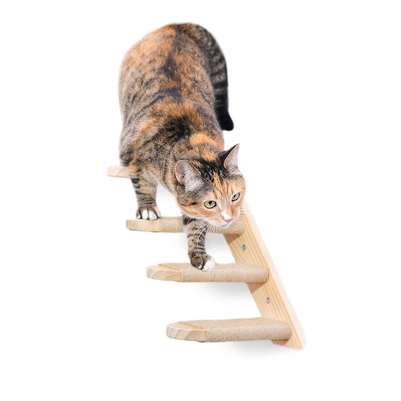 Cat Climbing Steps with Hammock Set
