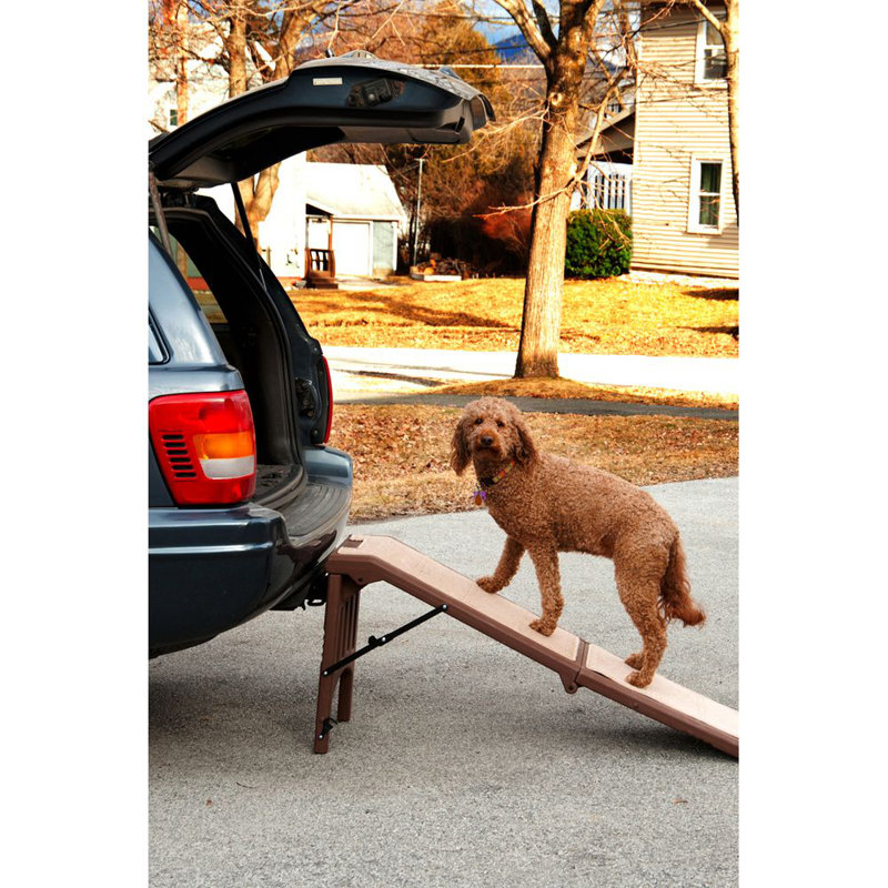 Collapsible Ramp