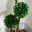 Topiaire de buis artificiel en pot-1232406461-1245143336