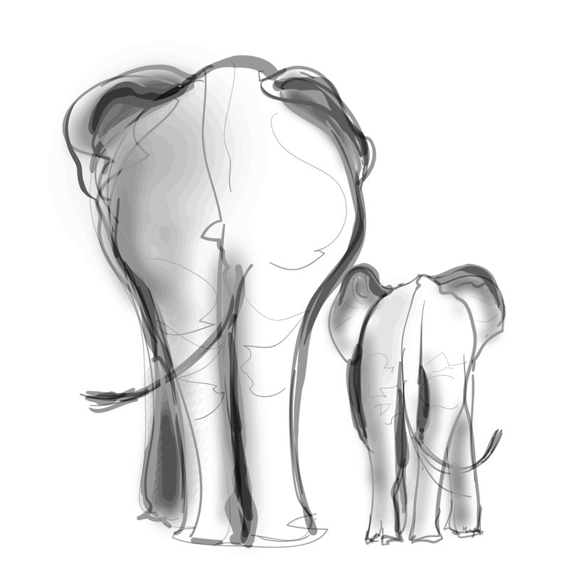 Elephant by Isaxar - Wrapped Canvas Print, 51cm H x 51cm W x 3.8cm D