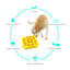 Mangeoire pour animaux domestiques-82280318
