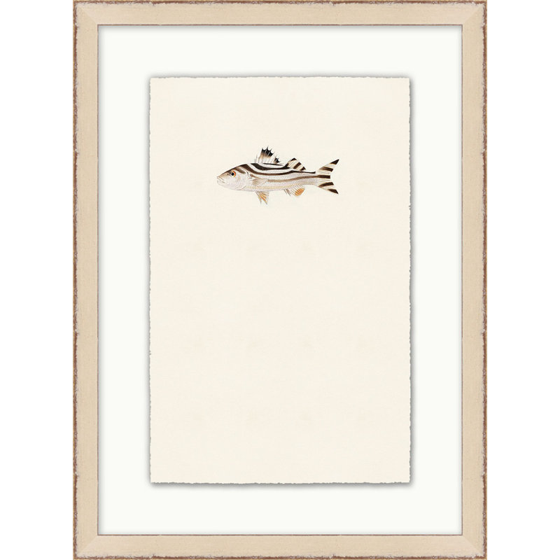 Petite Fish 1 - Impression de cadre photo sur papier