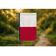 Drapeau de l'État du Texas — Drapeau extérieur-1562455975