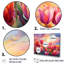 Tulipes au coucher du soleil III sur toile-97030998-97031005