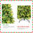 7FT Christmas Tree-1474270990