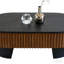 Table basse de salon 43,7 elliptique avec rangement caché et plateau de table amovible-224626671