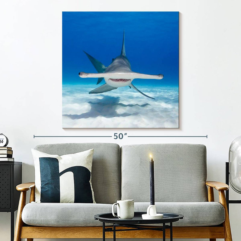 Brampt Hammerhead Shark Swimming, 33" H x 33" W