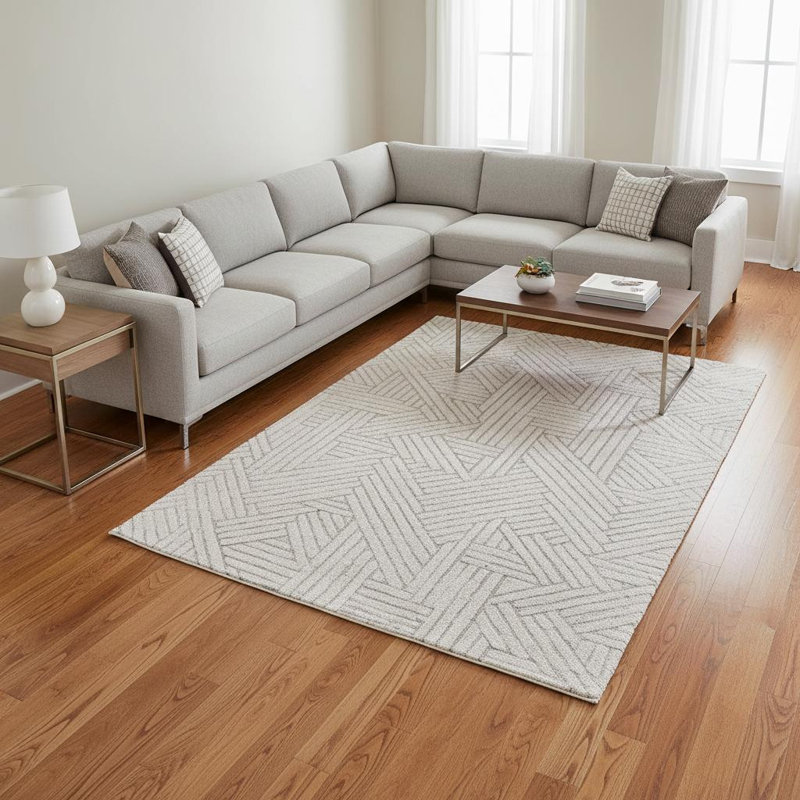 Tapis gris et beige 8 pi x 11 pi