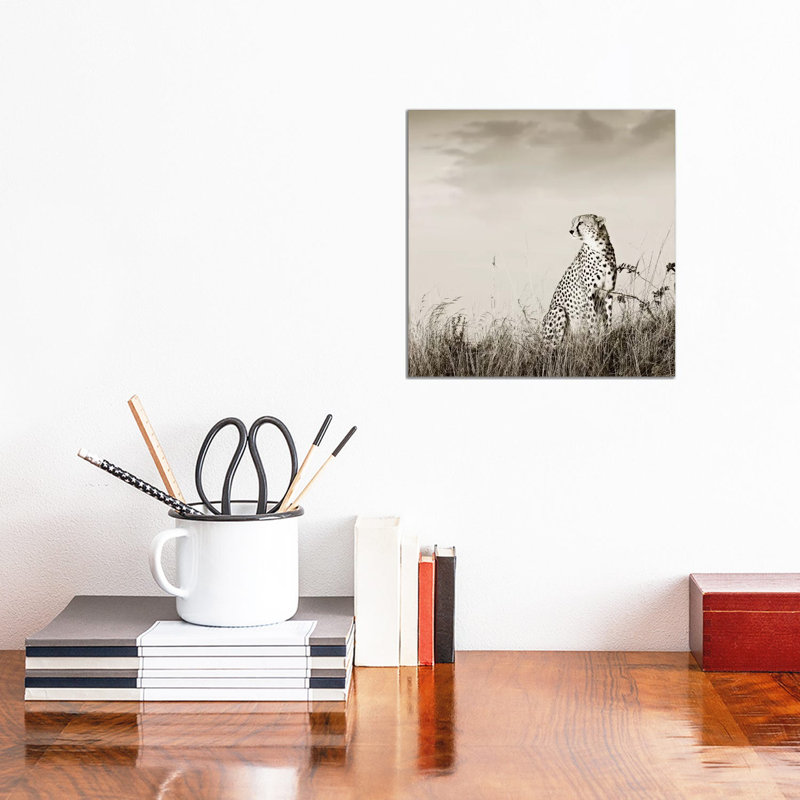Solitary Cheetah by Klaus Tiedge - Wrapped Canvas Print, 30.48 cm H x 30.48 cm W