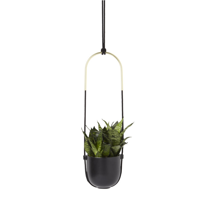White Ceramic Bowl-Shaped Hanging Planter