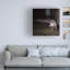 Art sur toile ,ologi-109346605