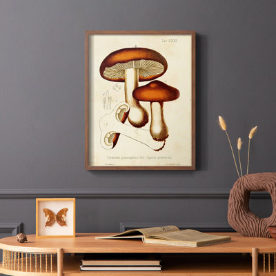 Champignon Variétés VI, reproduction encadrée - bois massif