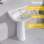 Lavabo de salle de bain piédestal moderne en U blanc avec trop-plein