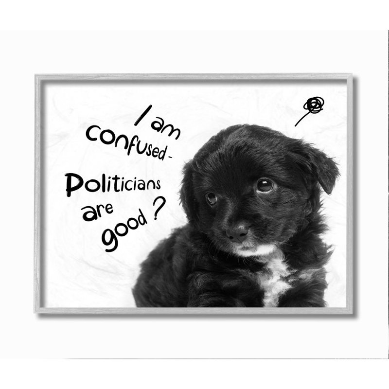 « Political Puppy »-impression de photo, H 16 po x l 20 po, Estampe numérique Farmhouse