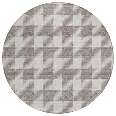 Colzie Gingham Indoor / Outdoor Rug