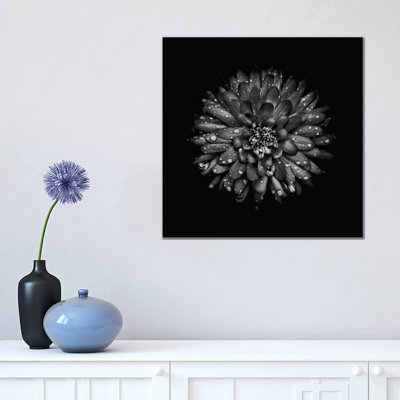 Black And White Mum II by Brian Carson - Wrapped Canvas Print