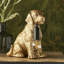 Isaacs Resin Novelty Lamp-1823923396