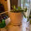 Customer photo 2 of 3
