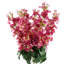 75cm Dark Pink Delphinium Stem