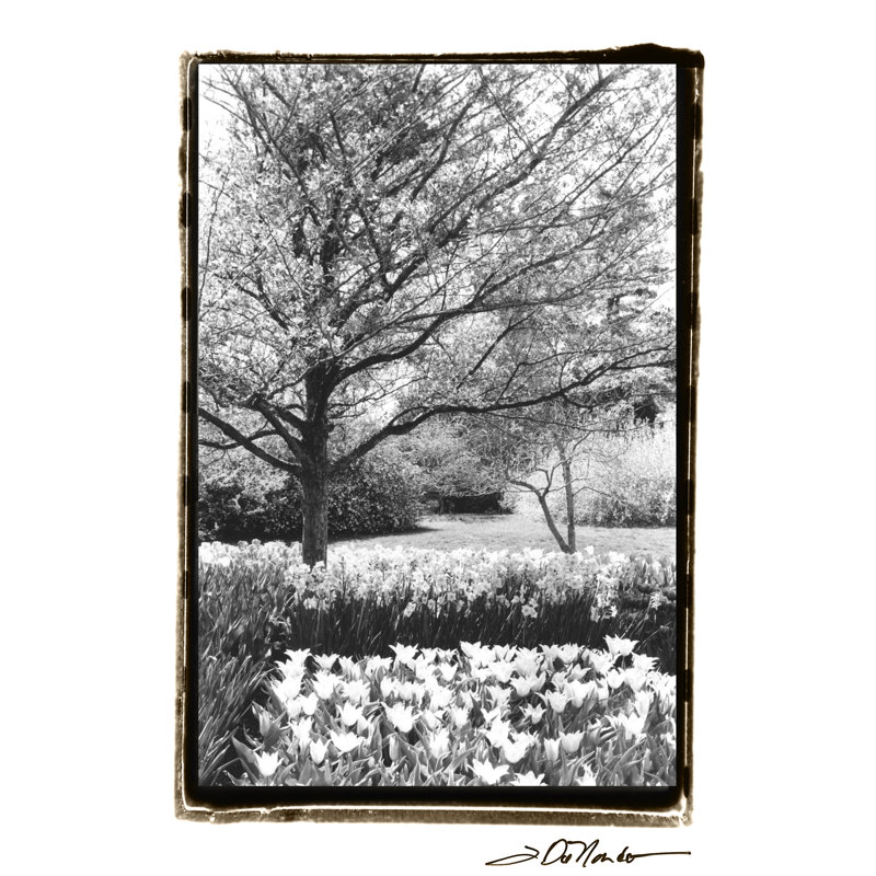 Springtime Garden III - Wrapped Canvas Print, 76cm H x 51cm W x 3.8cm D