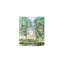 Toile de bouleau vert, art mural 24 x 18 po