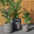 Pot Planter-96470769
