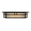 2 - Light Vanity Light