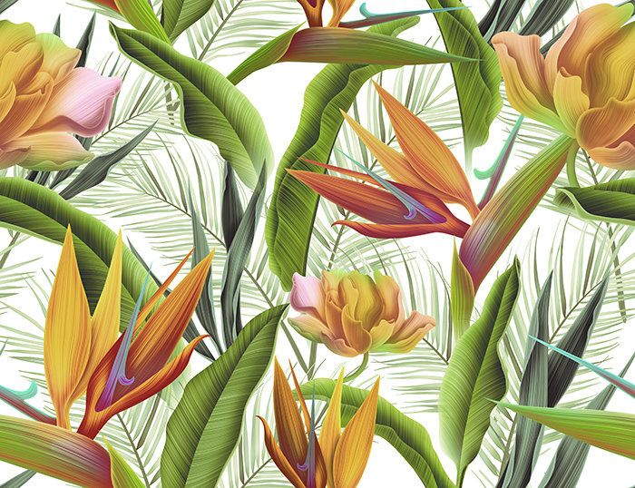 Komar 1.52m x 1.04m Matte Mural, 290 x 290cm